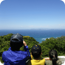 谷村 敏博